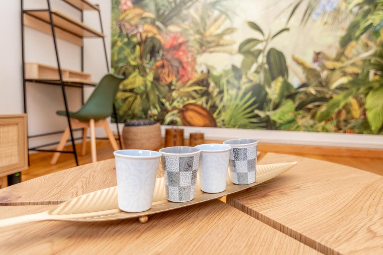 Appartement Cosy Au Centre Ville Avec Garage Chalon-sur-Saone Ngoại thất bức ảnh
